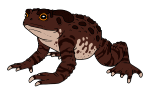 CausticToad01.png