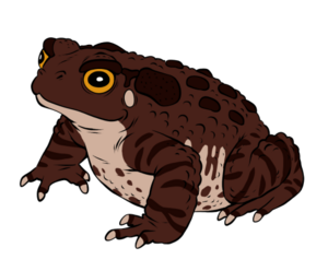 CausticToad01.png