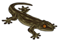 GallosGecko01.png