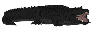 RoyalCaiman01.png